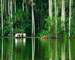 puerto-maldonado-turismo-14