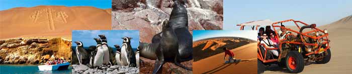 Full day Paracas e Ica (privado) Full day Paracas e Ica (privado)